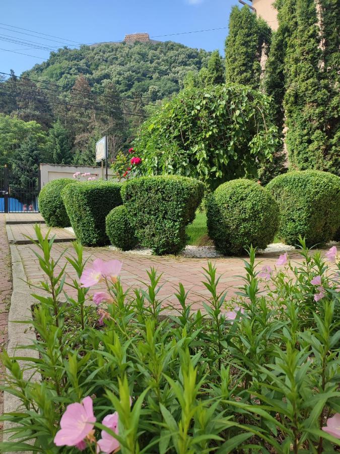 Hotel Casa Alina Deva Exterior foto
